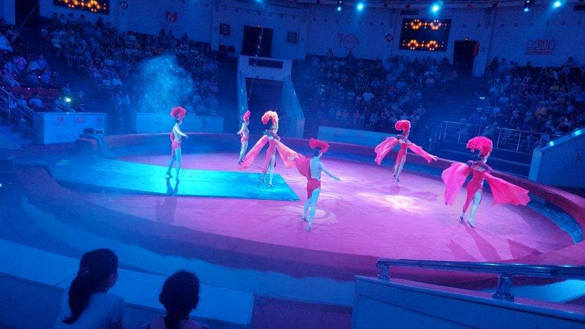 1-4 сынып оқушылары «1 маусым - балаларды қорғау күніне» орай қалалық циркке барып, қойылым тамашалап қайтты.
